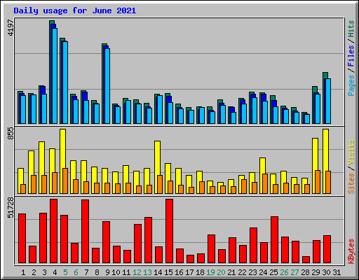 Daily usage for June 2021