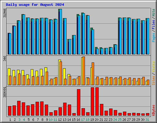 Daily usage for August 2024