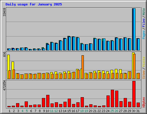 Daily usage for January 2025