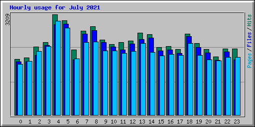 Hourly usage for July 2021