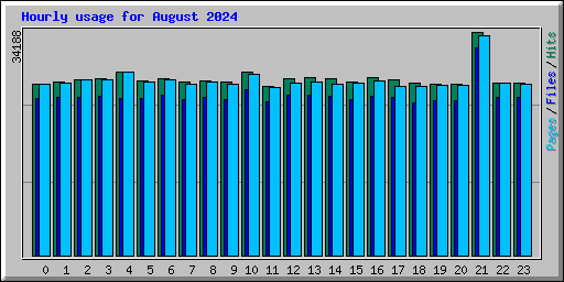 Hourly usage for August 2024