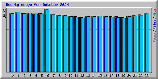 Hourly usage for October 2024