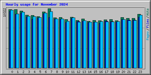Hourly usage for November 2024