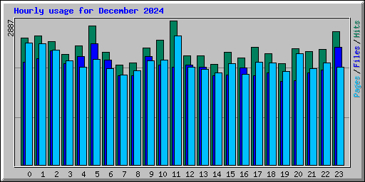Hourly usage for December 2024