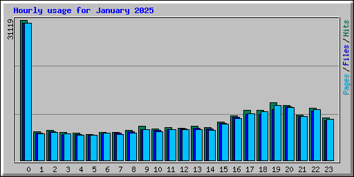 Hourly usage for January 2025
