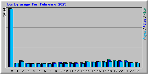 Hourly usage for February 2025