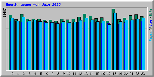 Hourly usage for July 2025