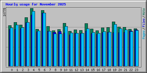 Hourly usage for November 2025