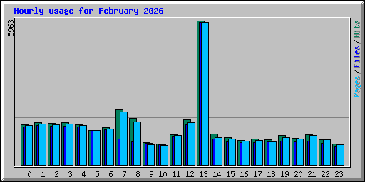 Hourly usage for February 2026