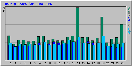 Hourly usage for June 2026