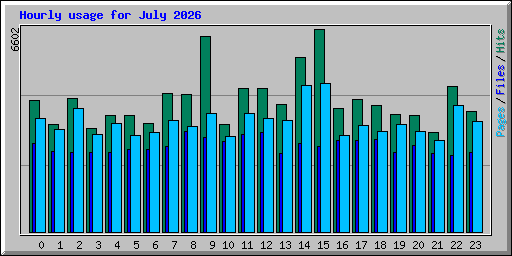 Hourly usage for July 2026