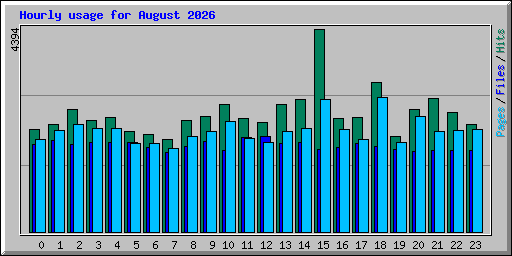 Hourly usage for August 2026